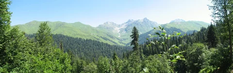 _пан_ resize_2.webp