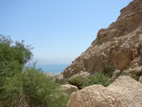 DSC05235.webp
