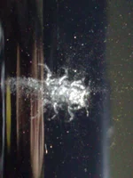 08062011110.webp