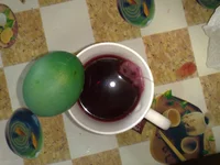 290420116630.webp