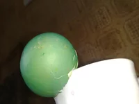 290420116629.webp