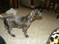  271.webp