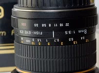 rings_s.webp