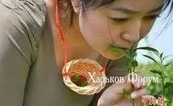 d06a16802e70959189f.webp