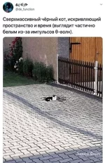 8503127a836a5d69b9dd.jpg