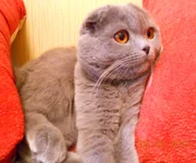 DSCN0696.webp