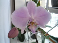 yukuy.webp