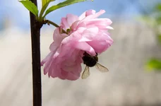 DSC00020.webp