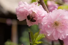 DSC00021.webp