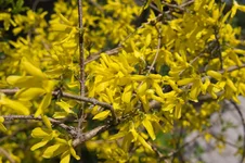 DSC00012.webp