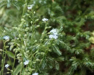 DSC00013 (2).webp