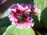 DSC00022.webp