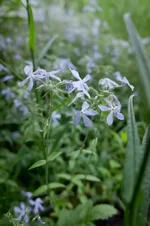 DSC00026-2.webp