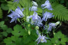 DSC00034-2.webp