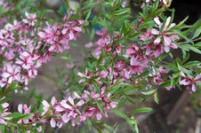 DSC00044.webp