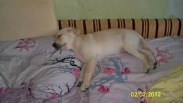 100_1881.webp