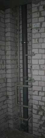 _4904.webp
