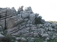 Torcaldeantequera.jpg