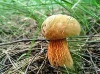 89d39221e72fdc08f0d.jpg