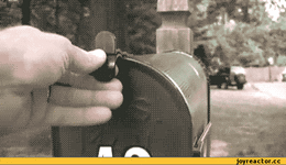 e21a84439876929c7fbf9fbd.gif