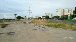 95eefdd981d61fbb1.webp