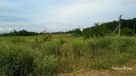 ef1577989afac8a5.jpg