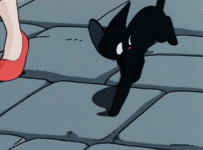 c1847479ab08ba2d16c0d29db124cbfd8c847552.gif