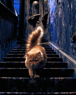 75a1d68528cd0d09440f1ea342c81dabefc24871.gif