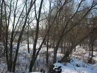  010.webp