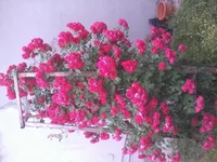 2011-06-14 19.05.48.webp