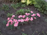 2011-06-14 19.09.44.webp