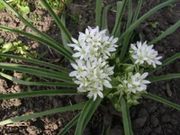 DSC01873.webp