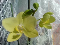 DSC03224.webp