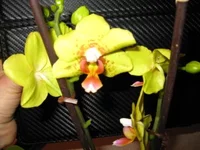 IMG_2856 (2).webp