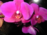 IMG_2859 (2).webp