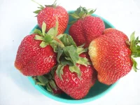 .webp