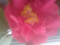 067 (2).webp