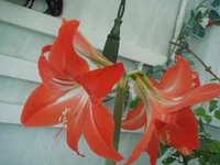 DSC09501.webp