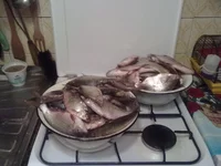 11022012190.webp