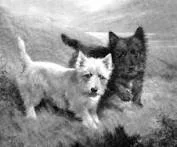 imagesкв1.webp