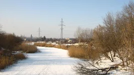 01 008.webp