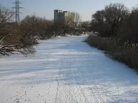01 009.webp