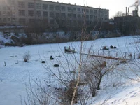 01 018.webp