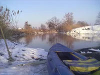 12022012199.webp