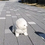 59499fcbaf0c2cc12b64bbe0880581e6bd83f348.gif