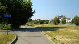 26974859a212fd921cf.webp