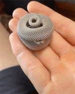 f2b69f52e1d1e6b49840f2789b6703280c4c9868.gif