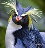 421acd09f5f6f6b74.jpg