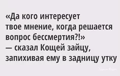 bb102fe775986d065a73.webp