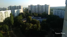db5a457c5003106799.webp